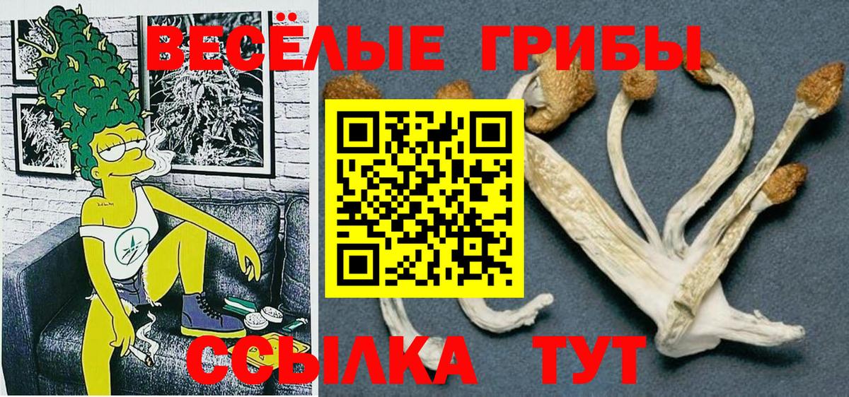 Псилоцибиновые грибы MAGIC MUSHROOMS Чапаевск