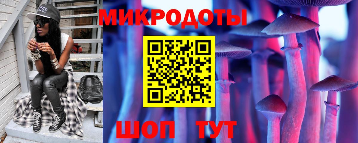 Чапаевск  даркнет сайт  Вход с VPN  Псилоцибиновые грибы прущие грибы  Псилоцибиновые грибы Psilocybe 